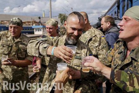 Украина научит НАТО «воевать» (ВИДЕО)