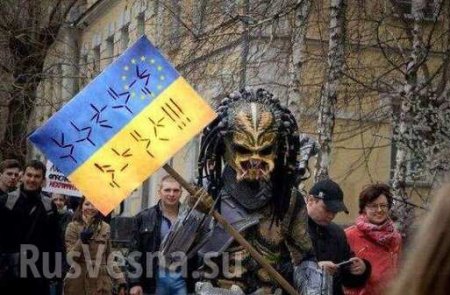 Майданная Украина: закон — тайга, прокурор — медведь