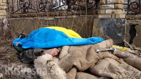 Стали известны подробности ликвидации украинского оккупанта на Донбассе