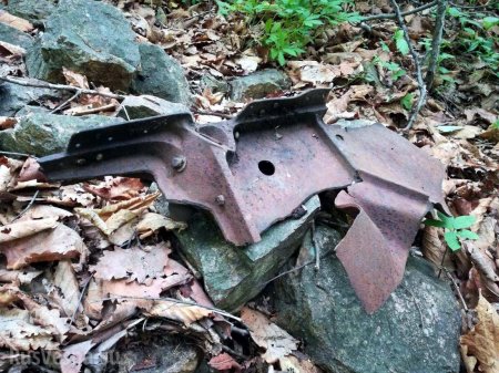 В Ботаническом саду Владивостока найдены обломки советского самолёта (ФОТО)