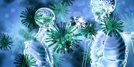 2020-й, хватит: древние вирусы могут пробудиться из-за таяния вечной мерзлоты