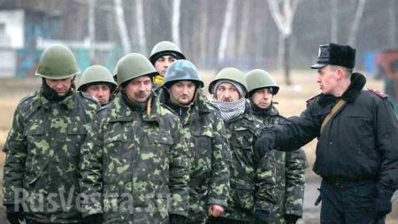 Киев готовится к бою: насильно мобилизованных украинцев свозят под Купянск